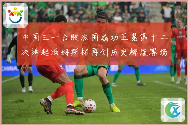 中国三一击败法国成功卫冕第十二次捧起汤姆斯杯再创历史辉煌赛场观察