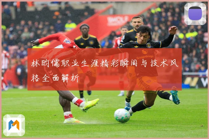 林昀儒职业生涯精彩瞬间与技术风格全面解析