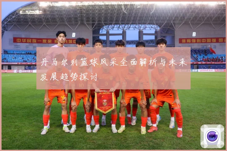 丹马尔利篮球风采全面解析与未来发展趋势探讨